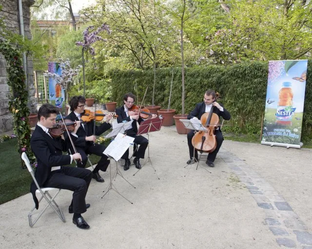 Cseresznyevirág és flashmob Vivaldival