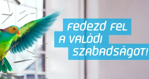 Egyéni igények szerint alakítható csomagok