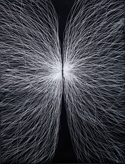 Fukui Yusuke  TESLA
