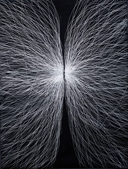 Fukui Yusuke – TESLA