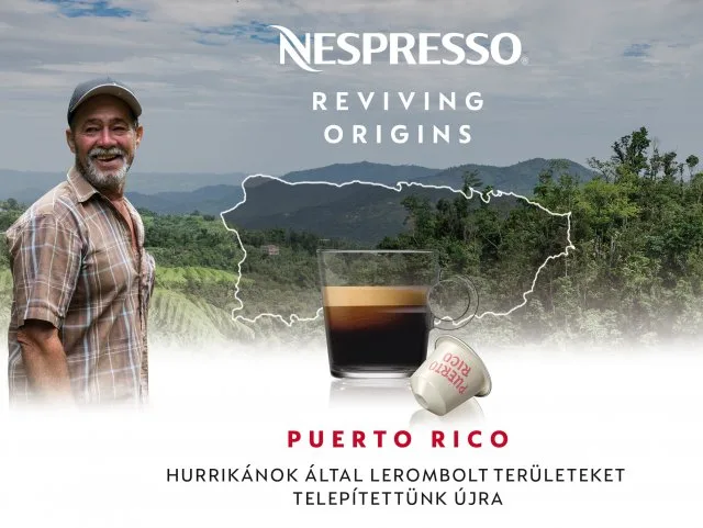 Így születik újjá Puerto Rico kávétermesztése