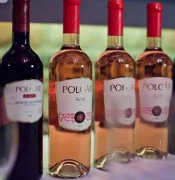 Tíz év borai a Polgár Pincészettől