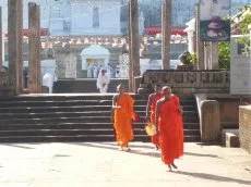 Miért pont Sri Lanka?