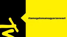 A magyar előadóművészeket segíti az MTV
