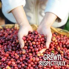 Grown Respectfully: új csomagolásban a NESCAFÉ termékek