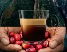 Megérkezett a Nespresso első organikus kávéja